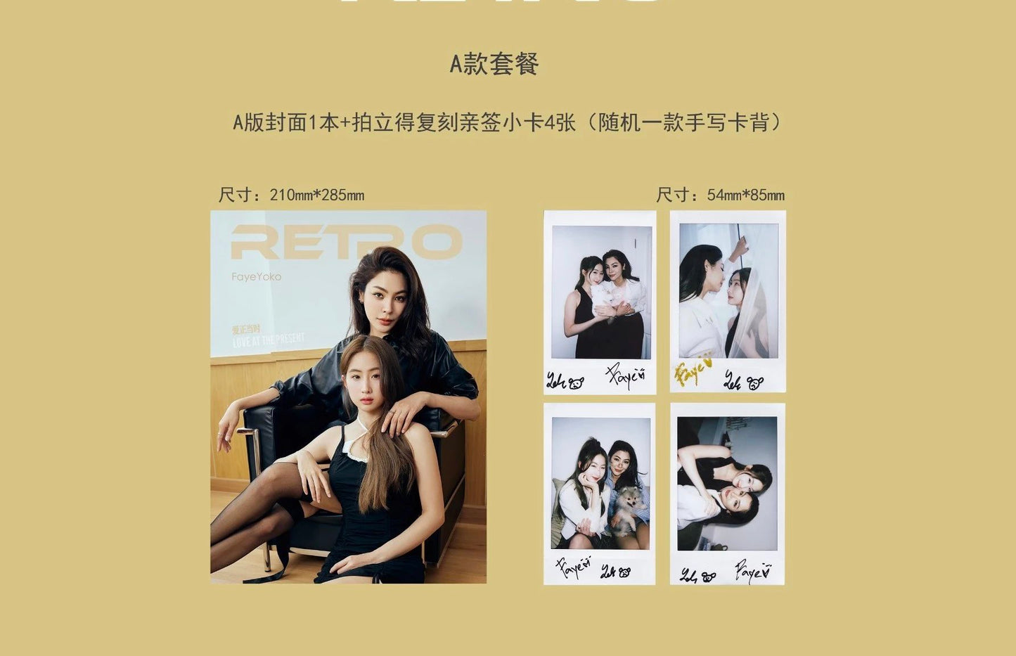 Batch 3 FayeYoko x Retro Magazine Set